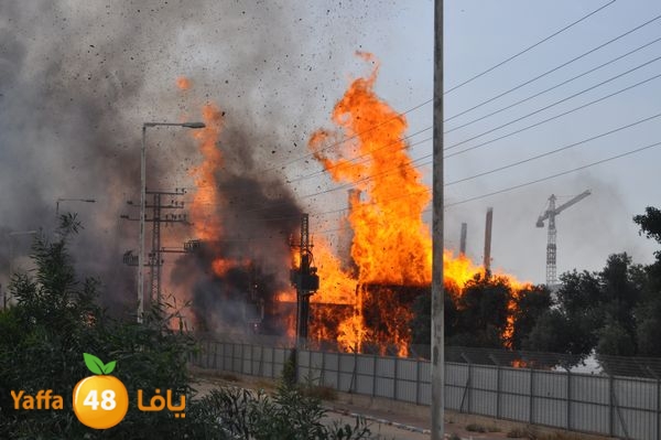 fireludkartoonmasna34 (7).JPG